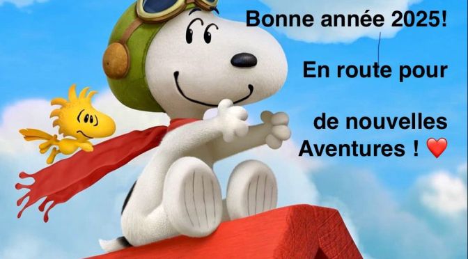 BONNE ANNEE 2025